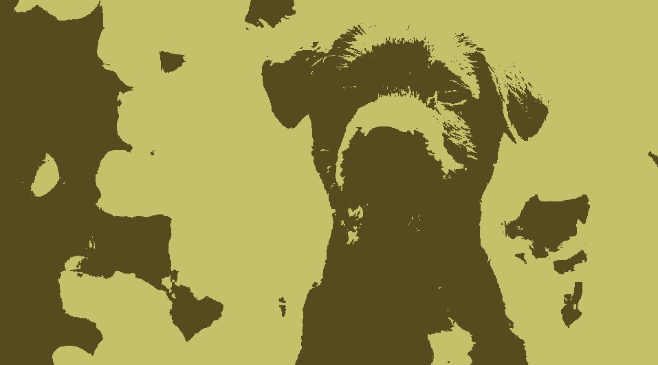 2 bit image of dog