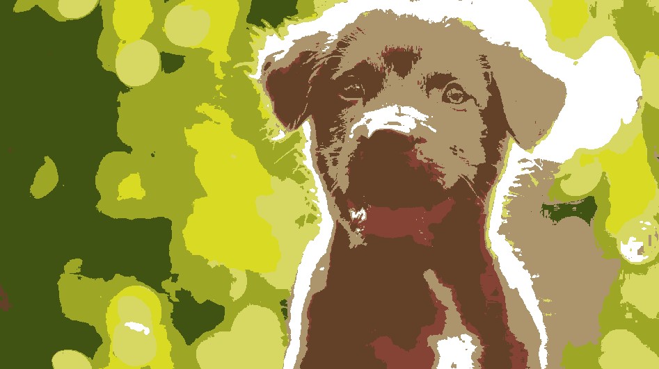 6 bits image of dog